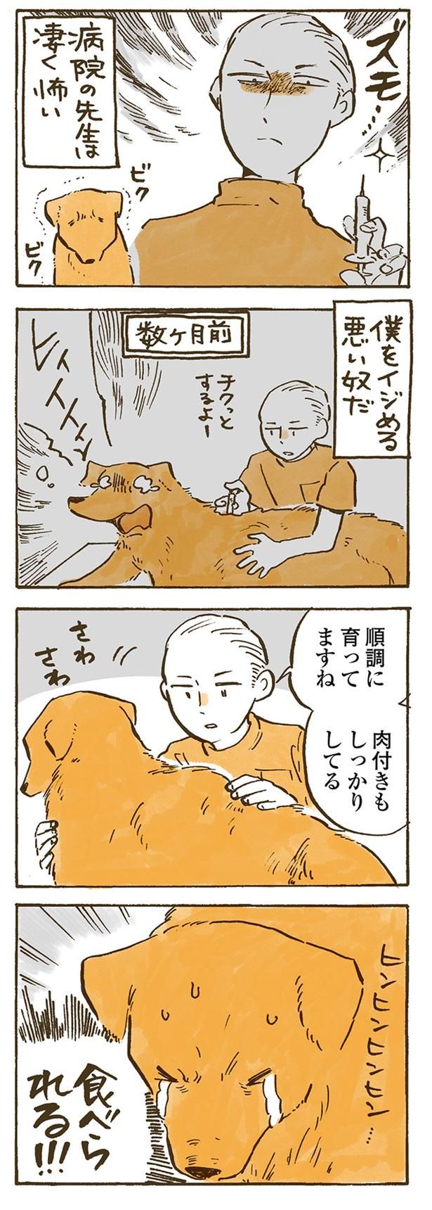 （C）佐倉イサミ／KADOKAWA