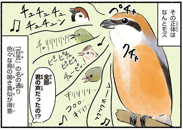 全部君の声だったの！？ （C）piro piro piccolo／KADOKAWA