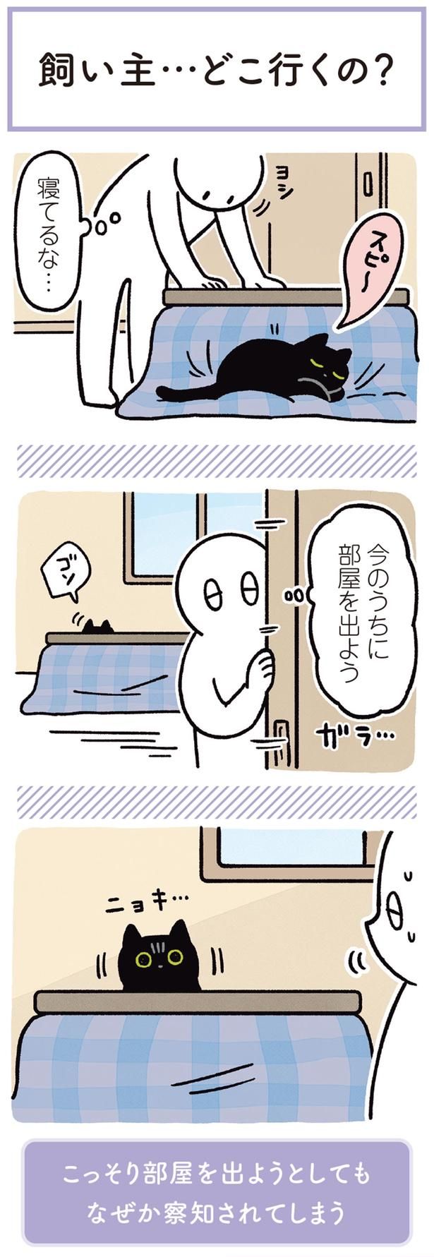 ニョキ… （C）AKR／KADOKAWA