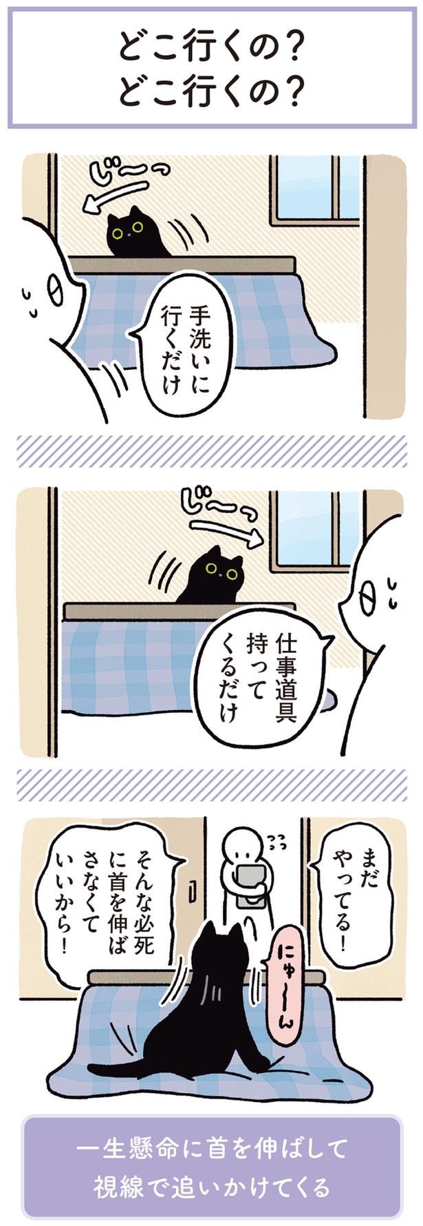 まだやってる！ （C）AKR／KADOKAWA