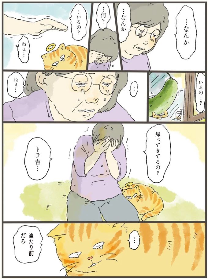 13-04.webp