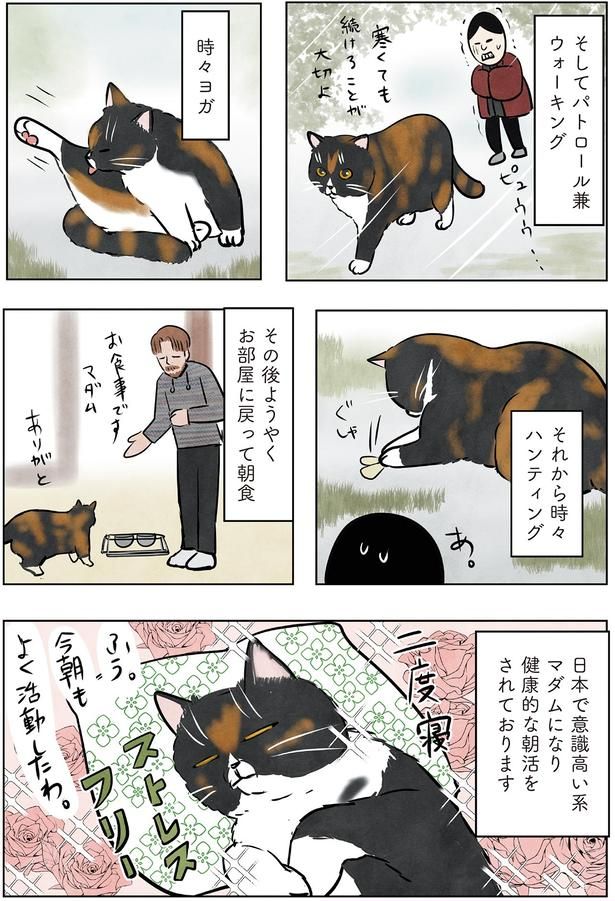 健康的な朝活をされております （C）かんさび／KADOKAWA