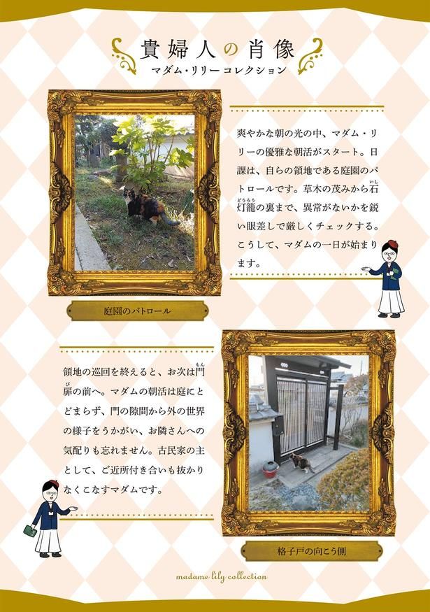 貴婦人の肖像 （C）かんさび／KADOKAWA