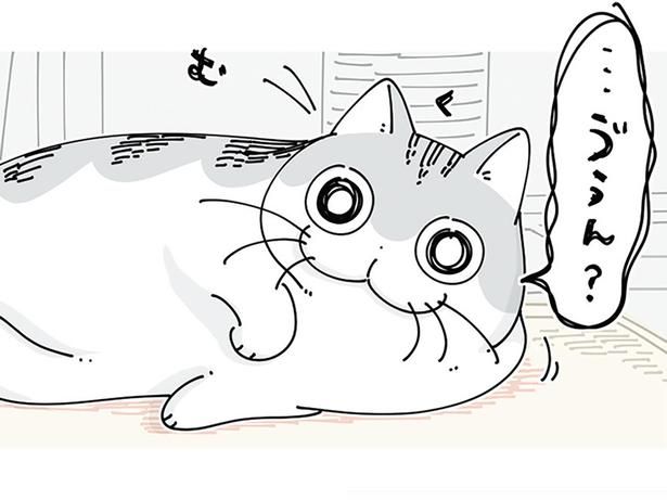 ホットカーペットの上で寝ている猫と目があって （C）キュルZ／KADOKAWA