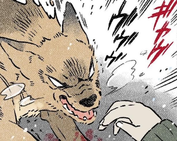 放浪犬を保護したが、吠えると噛むしで、殺処分対象に!? 画像提供：(C)ヨシモフ郎