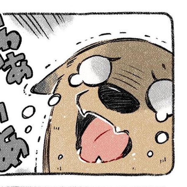 保護犬茶々のお話 画像提供：(C)ヨシモフ郎／KADOKAWA