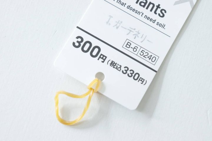 エアープランツの値札。330円の価格表示