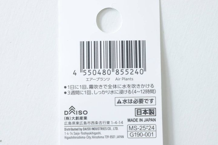 エアープランツの値札裏面。バーコードと育て方