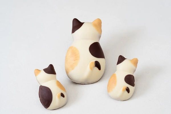 【東京都墨田区】猫フィナンシェで知られる「BROWN TABBY」が本所吾妻橋に2号店オープン！