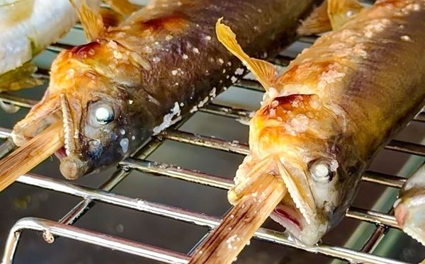 【京都府京丹波町】鮎つかみ・鮎の塩焼き・BBQが楽しめる「鮎ざんまい＆鮎ガーデン」道の駅和で開催中！