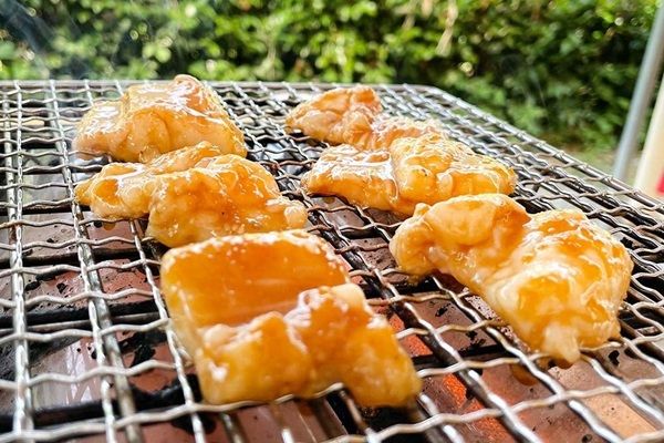 【京都府京丹波町】鮎つかみ・鮎の塩焼き・BBQが楽しめる「鮎ざんまい＆鮎ガーデン」道の駅和で開催中！