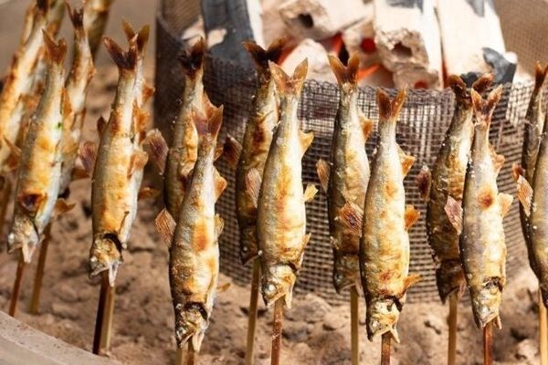 【京都府京丹波町】鮎つかみ・鮎の塩焼き・BBQが楽しめる「鮎ざんまい＆鮎ガーデン」道の駅和で開催中！