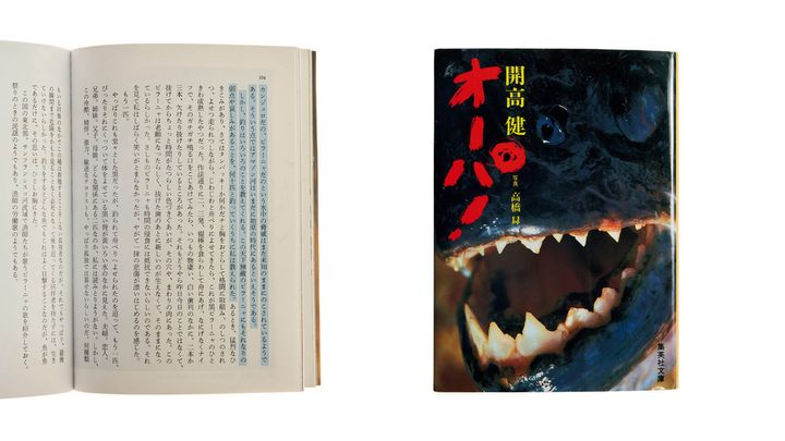 『オーパ！ 』中面 開高健／著