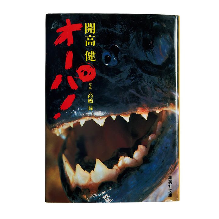 『オーパ！ 』開高健／著