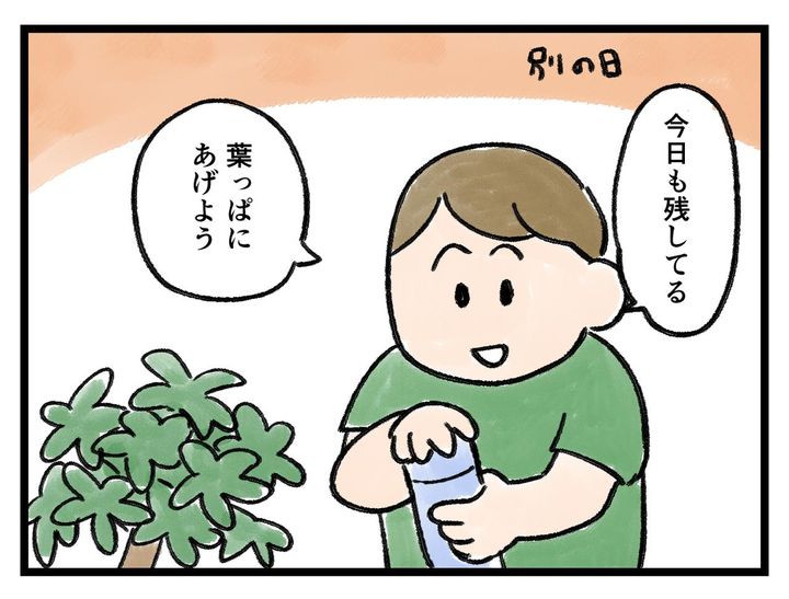 画像3: もったいないから