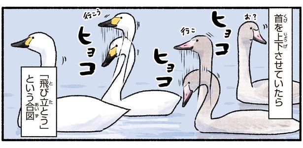「飛び立とう」という合図 （C）piro piro piccolo／KADOKAWA
