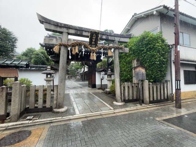  (313090)