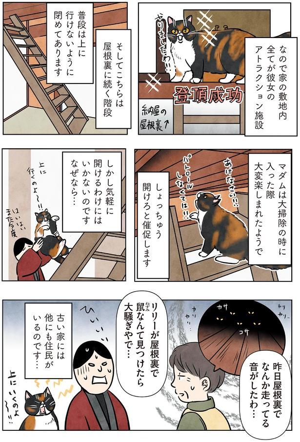 古い家には他にも住民がいるのです… （C）かんさび／KADOKAWA