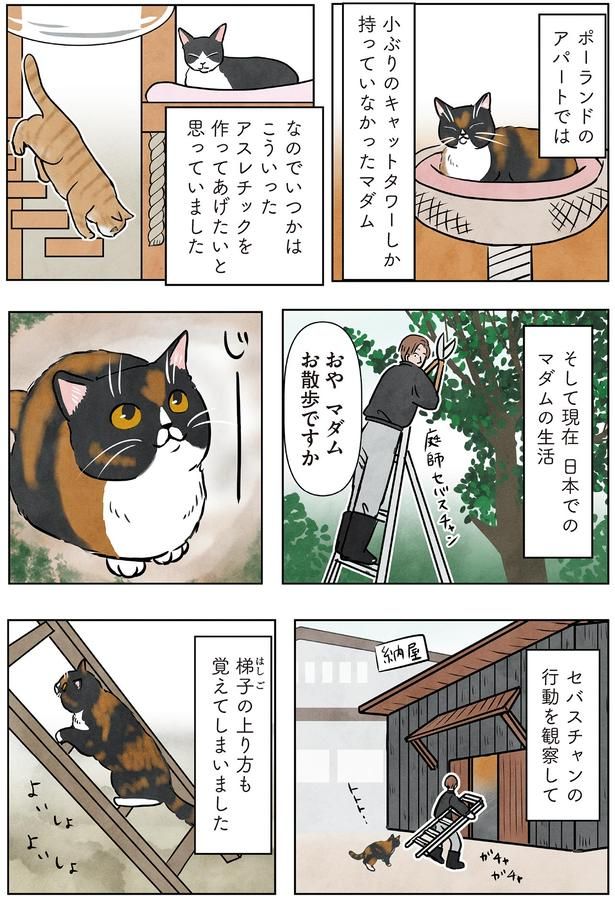 おやマダム お散歩ですか （C）かんさび／KADOKAWA