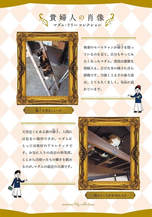 貴婦人の肖像 （C）かんさび／KADOKAWA