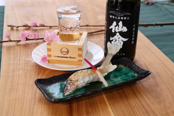 【栃木県さくら市】栃木の農園で生まれたオリジナルいちご「さくらベリー」を使ったジェラートが新発売