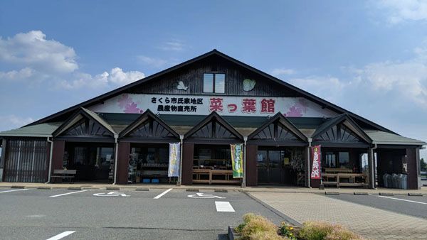 【栃木県さくら市】栃木の農園で生まれたオリジナルいちご「さくらベリー」を使ったジェラートが新発売