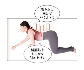 背骨のストレッチ