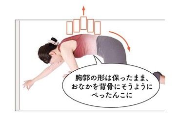 背骨のストレッチ