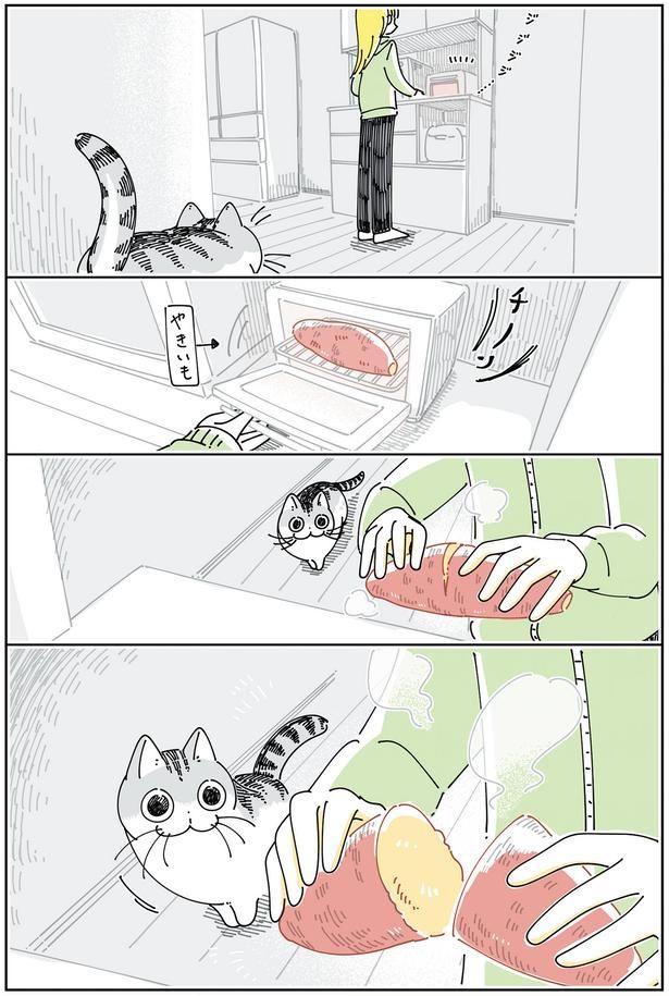 やきいもを欲しがるネコ （C）キュルZ／KADOKAWA