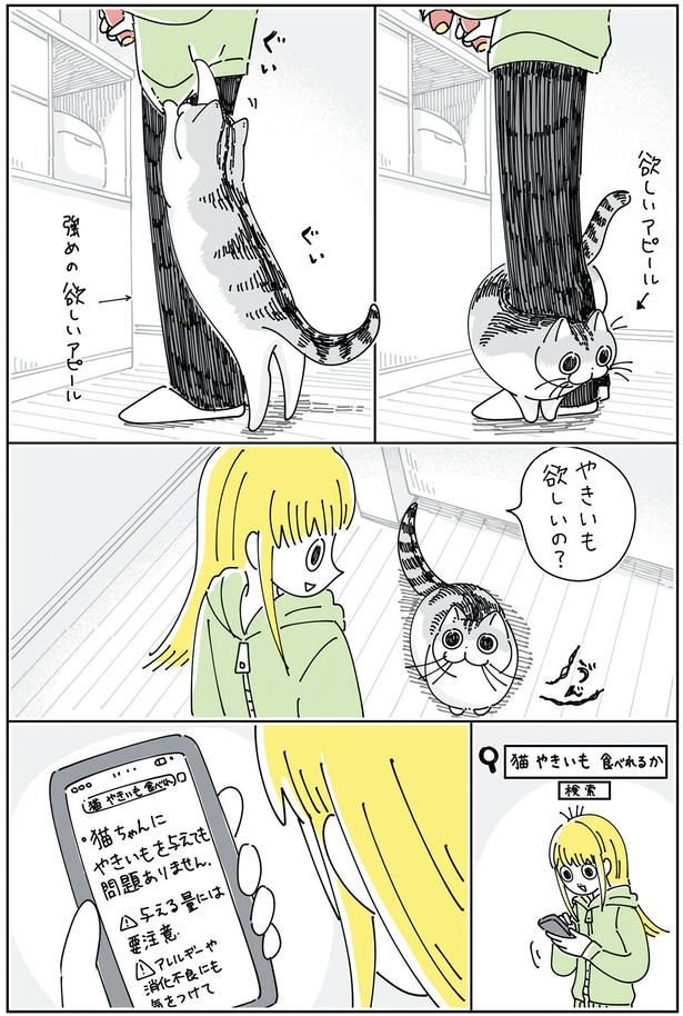 欲しいアピール （C）キュルZ／KADOKAWA