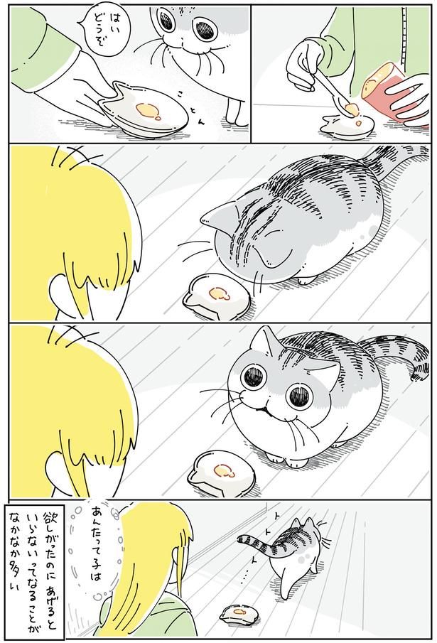 あんたって子は… （C）キュルZ／KADOKAWA