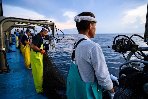 京丹後の地魚卸「魚政」が“フレンチ魚だし”で味わう新感覚漬け丼・カルパッチョを発売