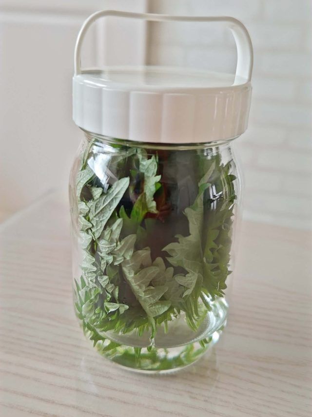 瓶に入ったしそ