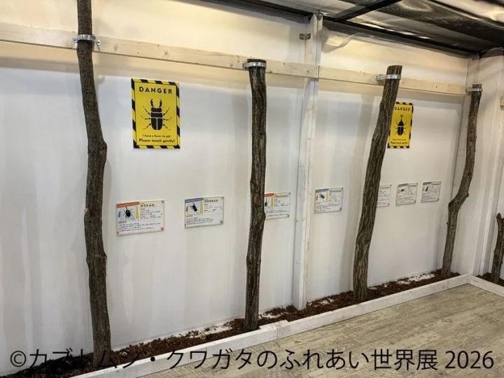 ふれあい体験コーナー(1)