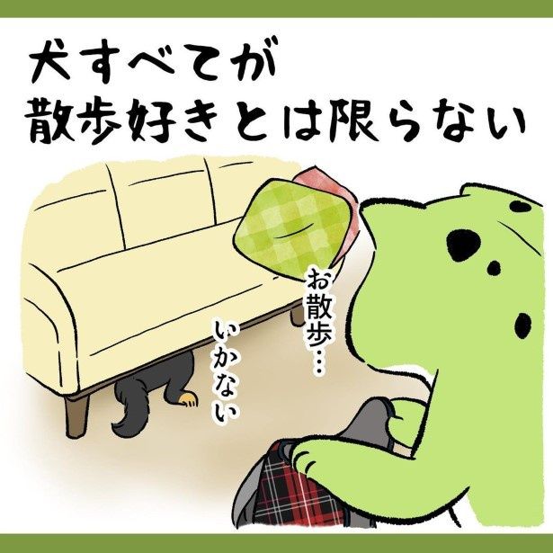 え？犬って無条件に散歩が好きじゃないの!?と唖然… ちユウコトリトリ(@yuko_toritori)