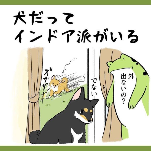 アウトドア派の活発な妹と、インドア派の温厚な兄 ユウコトリトリ(@yuko_toritori)