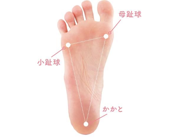 3点にバランスよく体重を乗せる 撮影／後藤利江
