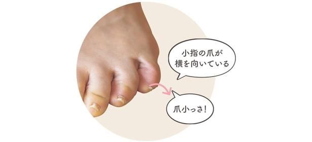 これが寝指 撮影／後藤利江