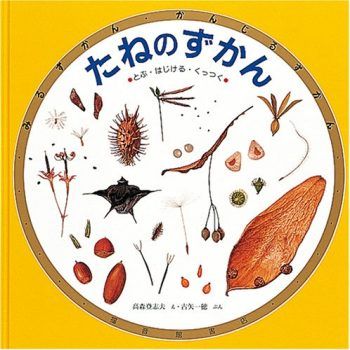 【植物の世界が身近に】親子で一緒に楽しむ「発見や驚きに出会える図鑑」絵本5選の画像1