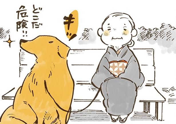 休憩中も姫ばあちゃんを守るナイト （C）佐倉イサミ／KADOKAWA