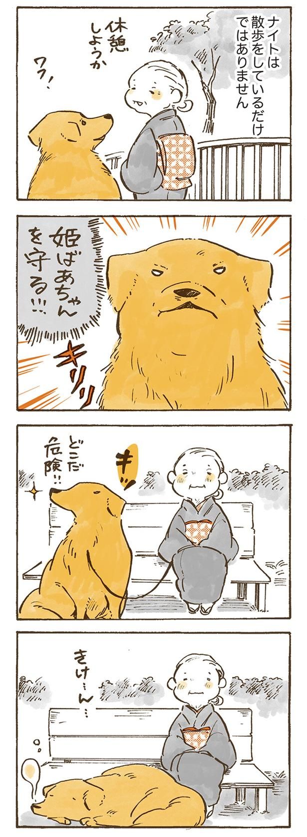 ナイトは散歩をしているだけではありません （C）佐倉イサミ／KADOKAWA