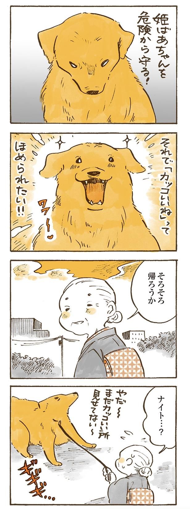 それで「カッコいいね」ってほめられたい！！ （C）佐倉イサミ／KADOKAWA