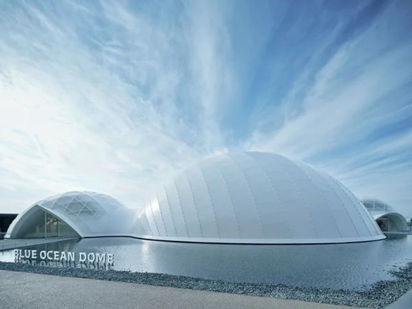 【東京都江東区】大阪・関西万博「BLUE OCEAN DOME」で公開した大型映像を日本科学未来館で特別上映