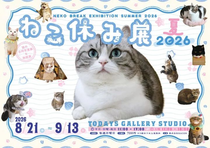 いすゞ堂 猫人形と招き猫風置物