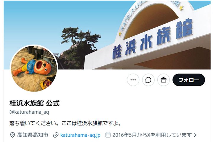 出典：桂浜水族館公式X（@katurahama_aq）より