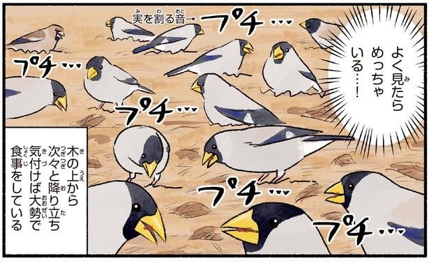 よく見たらめっちゃいる…！ （C）piro piro piccolo／KADOKAWA
