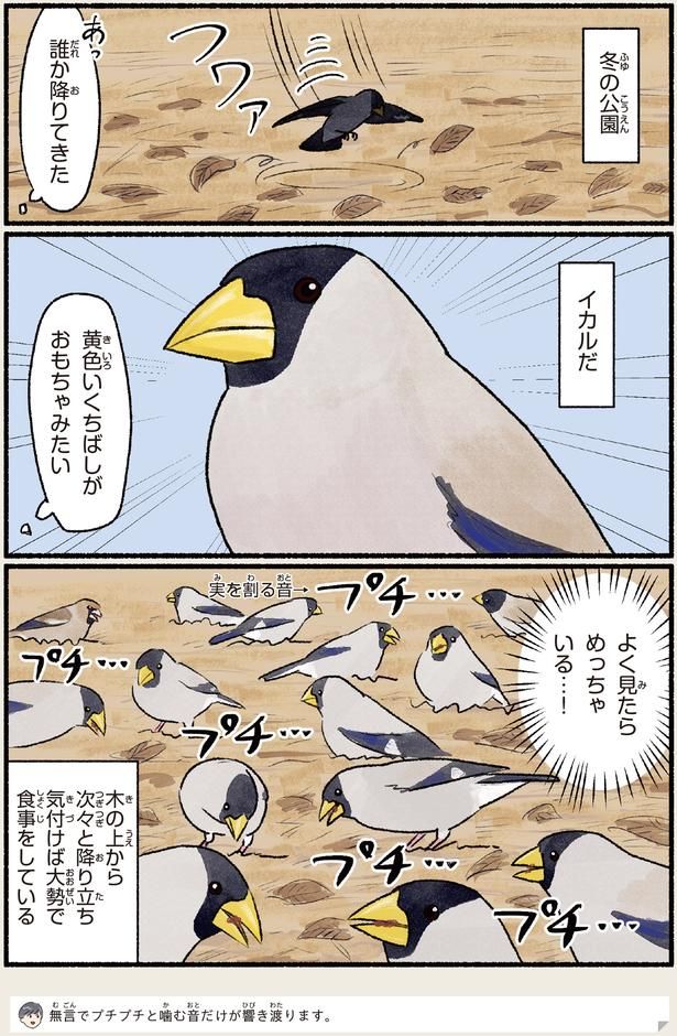 黄色いくちばしがおもちゃみたい （C）piro piro piccolo／KADOKAWA