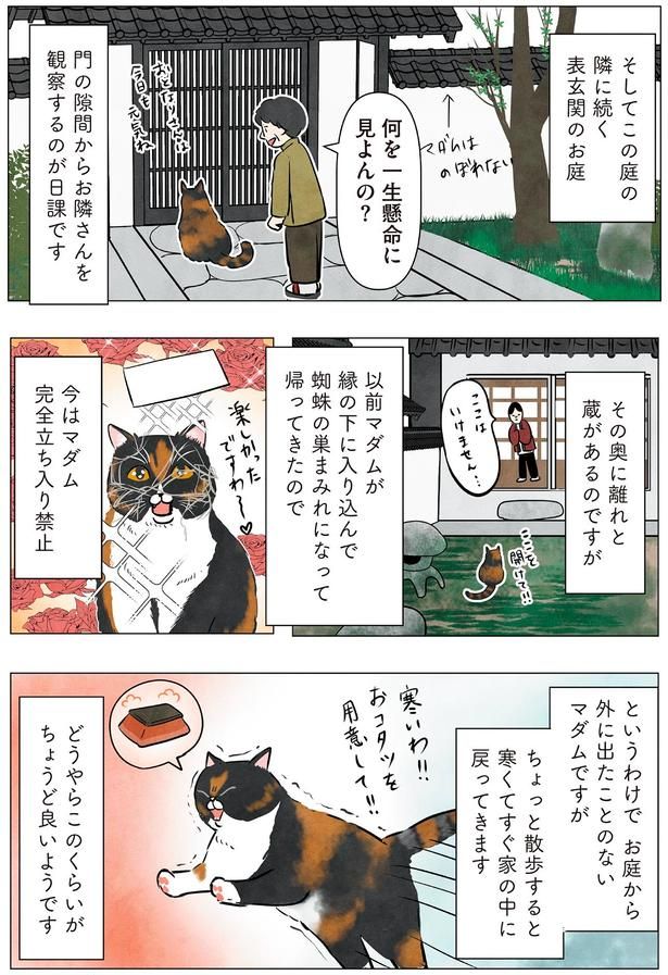 このくらいがちょうど良いようです （C）かんさび／KADOKAWA