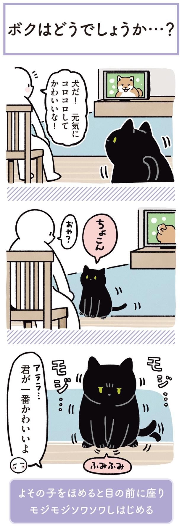 君が一番かわいいよ （C）AKR／KADOKAWA