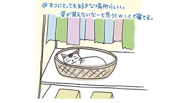 ネコにとっても好きな場所らしい (C)ゆるりまい／KADOKAWA